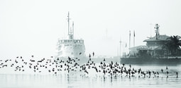 Dört Mevsim İstanbul
