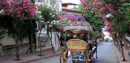İstanbul’un İncileri Adalar, Her Yönüyle “1. İstanbul Adaları Sempozyumu”Nda Ele Alınacak